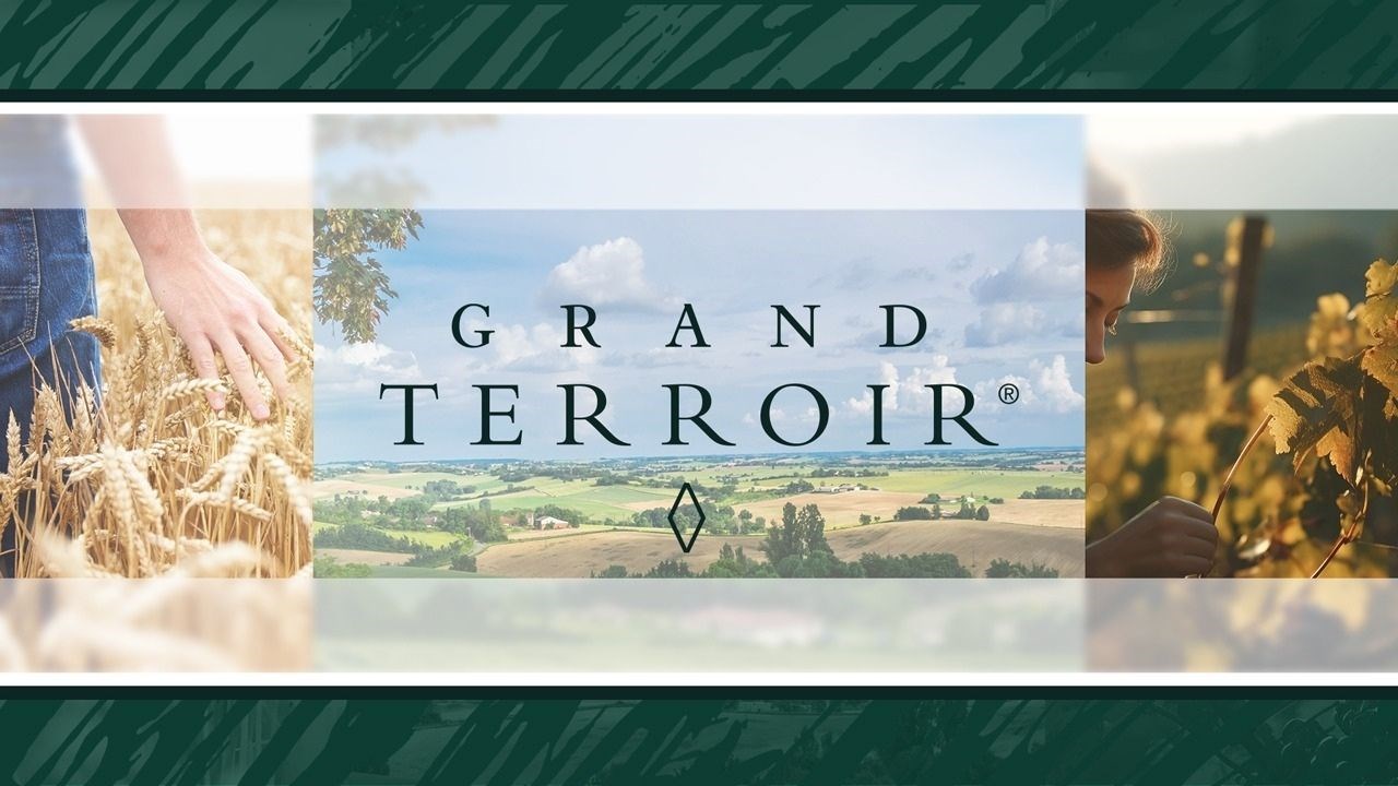 Grand Terroir